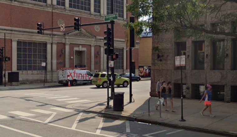 Chicago Pet Owners on High Alert as Stray Voltage Claims Canine Life in River North