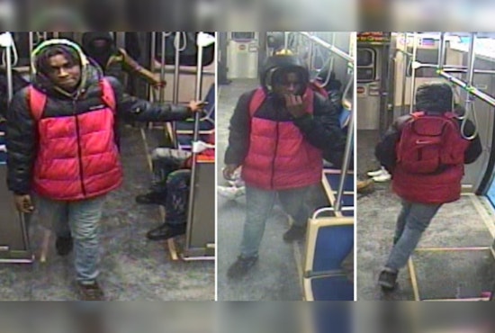 Chicago Police Seek Public Help to Identify Suspect in Washington Park CTA Theft