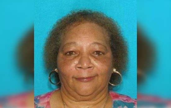 Chicago Police Seek Public's Help in Search for Missing Elderly Woman Mamie Holden