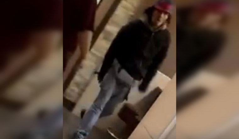 Chicago Police Seek Public's Help to Identify Suspect in Logan Square Public Indecency Case