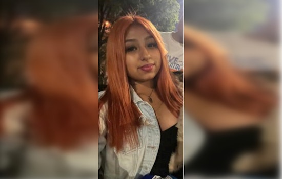 Chicago Police Seek Public's Help to Locate Missing Teen Solangie Meneses