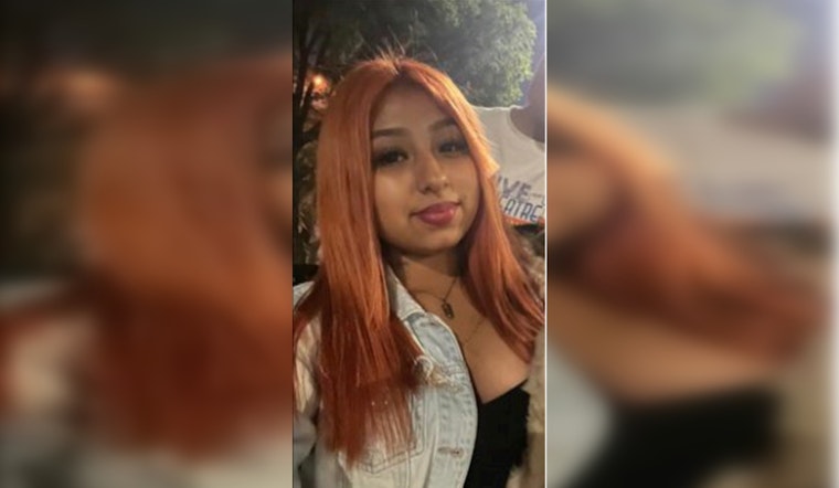 Chicago Police Seek Public's Help to Locate Missing Teen Solangie Meneses