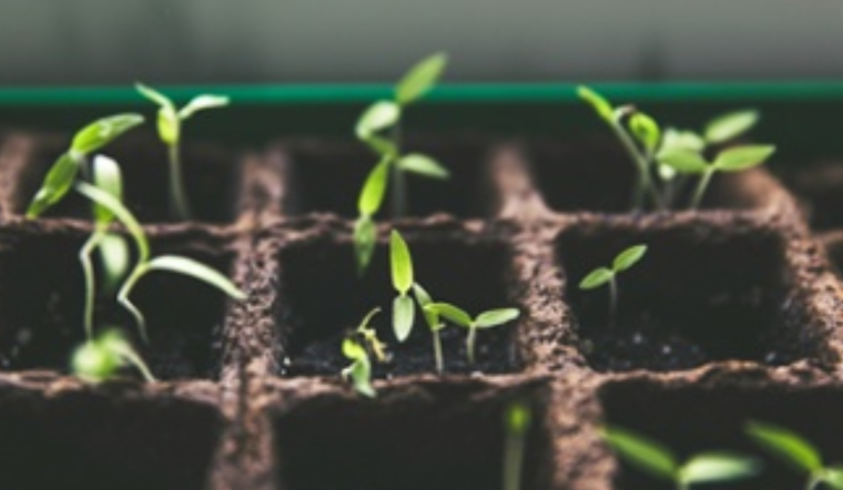 Cincinnati Invites Youth and Innovators to Apply for $300,000 in Green Grants for Climate Solutions