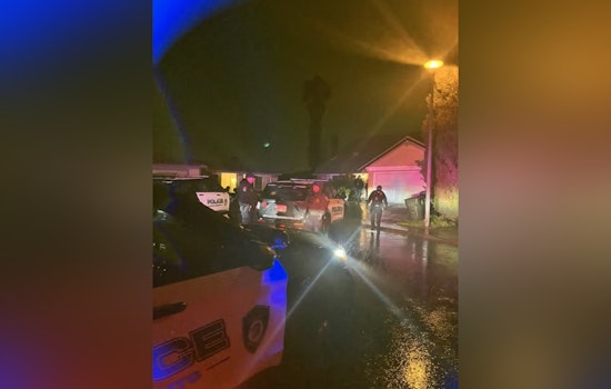 Citrus Heights PD Brings "Porch Pirate" to Justice Amidst Adverse Weather Conditions