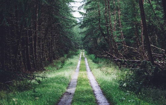 Cleary Lake Regional Park Hosts Free Evergreen Wellness Walk on March 12