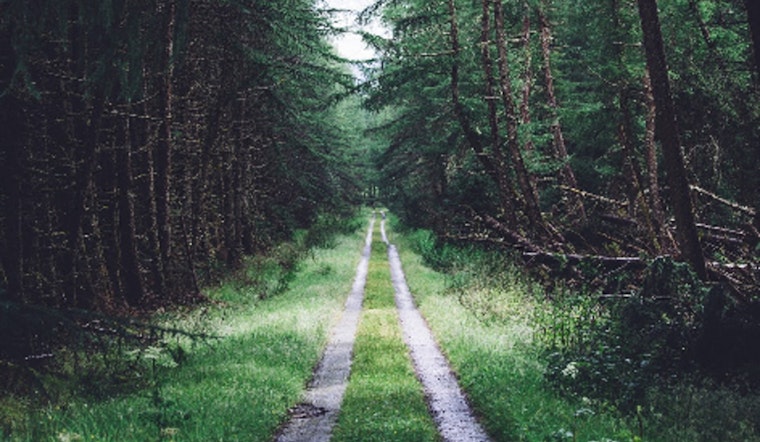 Cleary Lake Regional Park Hosts Free Evergreen Wellness Walk on March 12