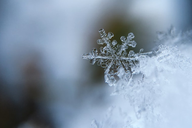 Cold Snap Hits Sacramento as Frosty Weather, Strong Winds, and a Chance of Snow Arrive!