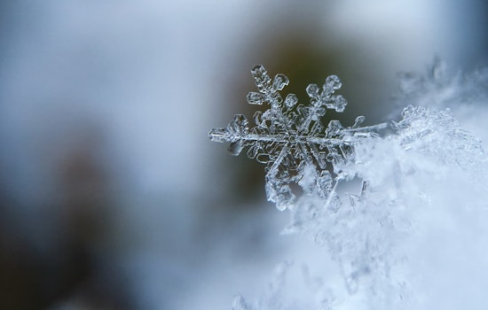Cold Snap Hits Sacramento as Frosty Weather, Strong Winds, and a Chance of Snow Arrive!