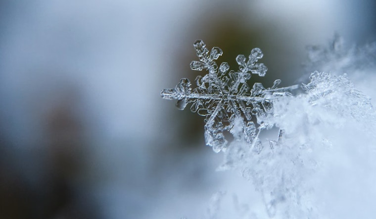 Cold Snap Hits Sacramento as Frosty Weather, Strong Winds, and a Chance of Snow Arrive!