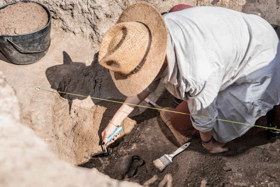 Connect with Raleigh's Roots as Mordecai Historic Park Hosts Archaeological Showcase on March 29