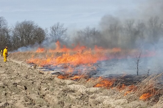 Controlled Burns Scheduled for Big South Fork National River Area to Boost Ecosystem Health