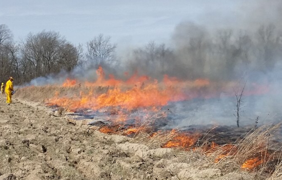 Controlled Burns Scheduled for Big South Fork National River Area to Boost Ecosystem Health