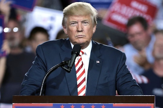 Court Blocks Trump's Birthright Citizenship Plan as AGs from California to New York Defend Constitution