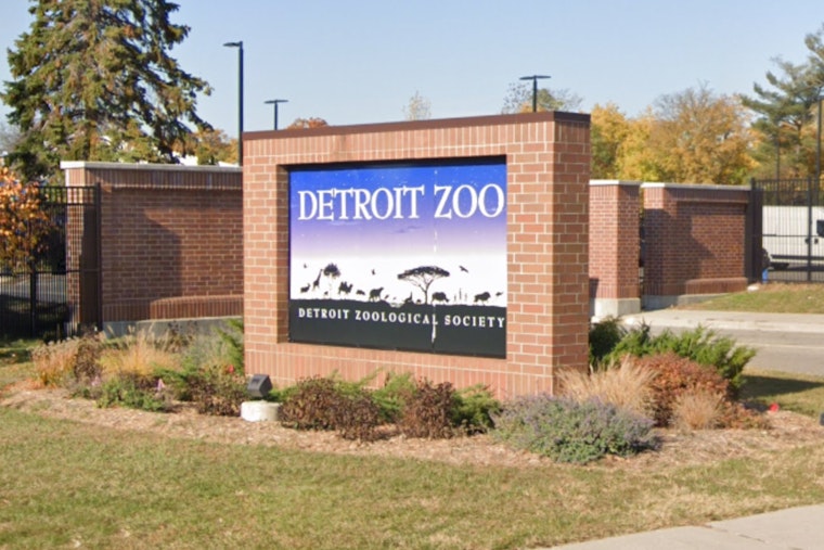 Detroit Zoo Launches Electronic Recycling Challenge to Save Endangered Gorillas