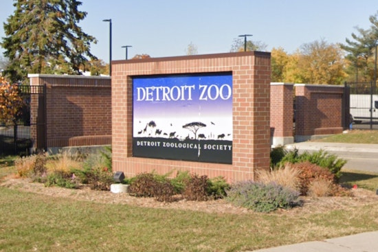 Detroit Zoo Launches Electronic Recycling Challenge to Save Endangered Gorillas