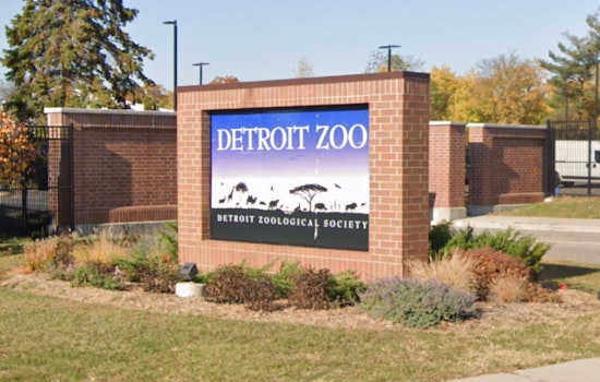 Detroit Zoo Launches Electronic Recycling Challenge to Save Endangered Gorillas