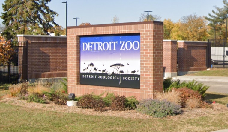 Detroit Zoo Launches Electronic Recycling Challenge to Save Endangered Gorillas