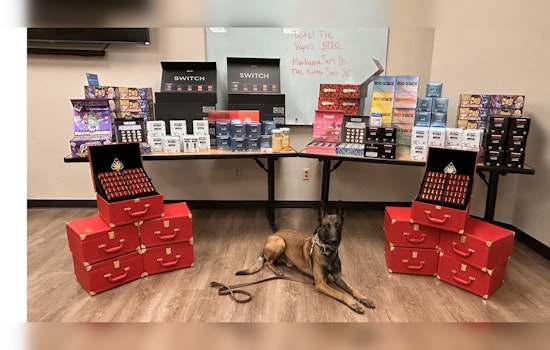 DPS Seizes Over 5,700 THC Vape Cartridges, THC Butter, and Marijuana on I-40