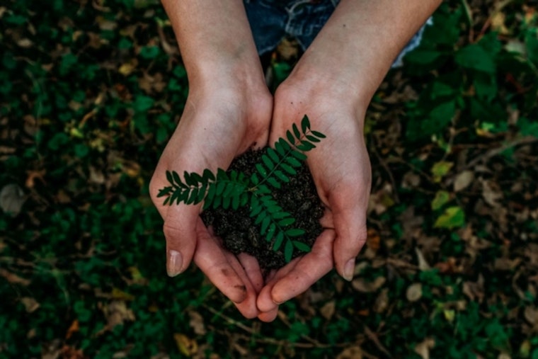 Dunwoody Celebrates 13th Consecutive Tree City USA Award with Special Arbor Day Tree Planting Event