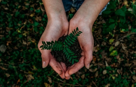 Dunwoody Celebrates 13th Consecutive Tree City USA Award with Special Arbor Day Tree Planting Event