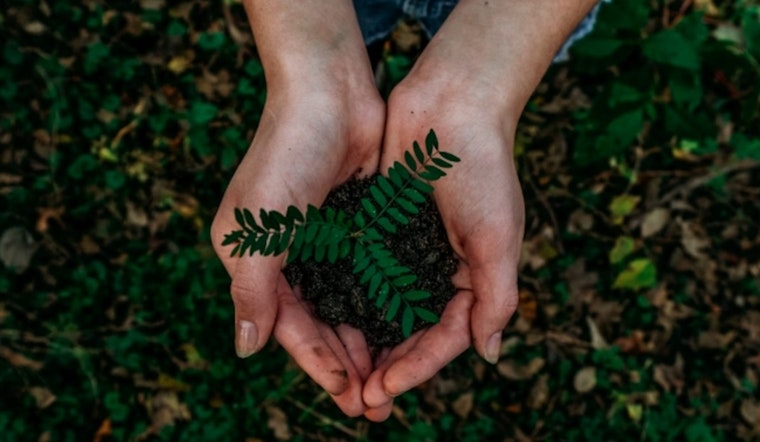 Dunwoody Celebrates 13th Consecutive Tree City USA Award with Special Arbor Day Tree Planting Event