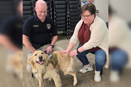Eden Prairie Workers Soothed by Soldier's 6 Therapy Dogs Amid Stressful Times