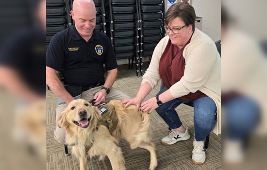 Eden Prairie Workers Soothed by Soldier's 6 Therapy Dogs Amid Stressful Times