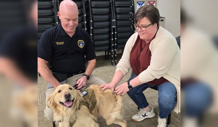 Eden Prairie Workers Soothed by Soldier's 6 Therapy Dogs Amid Stressful Times