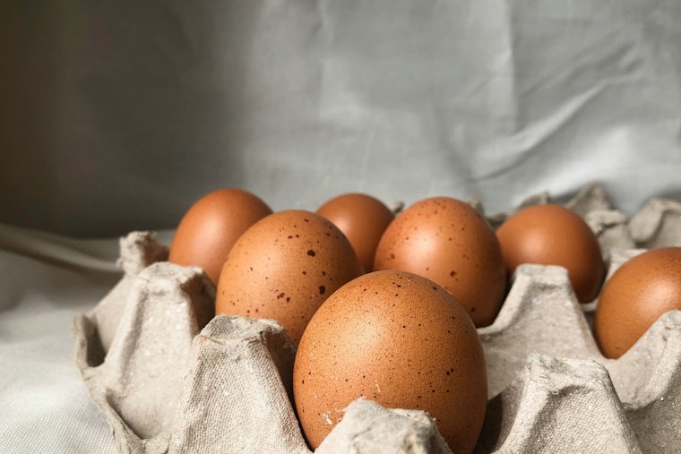 Egg Prices Hit Unprecedented Highs Amidst Bird Flu Crisis as Texas Farmers Face Supply Shock
