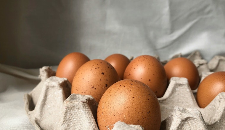 Egg Prices Hit Unprecedented Highs Amidst Bird Flu Crisis as Texas Farmers Face Supply Shock