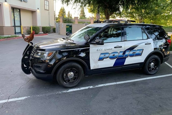 Elk Grove Police Investigating Evening Shooting on Laguna Mirage Lane; Victim Hospitalized
