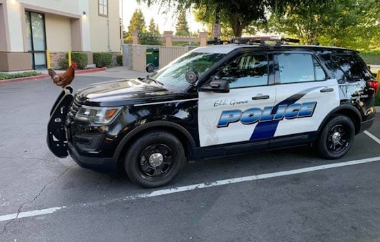 Elk Grove Police Investigating Evening Shooting on Laguna Mirage Lane; Victim Hospitalized