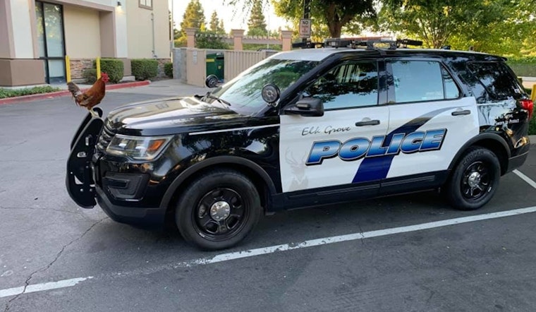 Elk Grove Police Investigating Evening Shooting on Laguna Mirage Lane; Victim Hospitalized