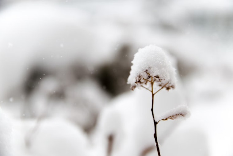 Extreme Cold Warning and Winter Weather Advisory Issued for Oklahoma and Northern Texas