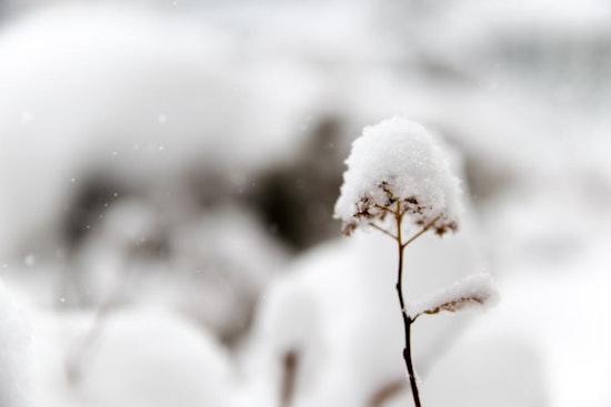 Extreme Cold Warning and Winter Weather Advisory Issued for Oklahoma and Northern Texas