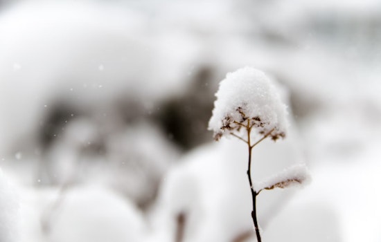 Extreme Cold Warning and Winter Weather Advisory Issued for Oklahoma and Northern Texas