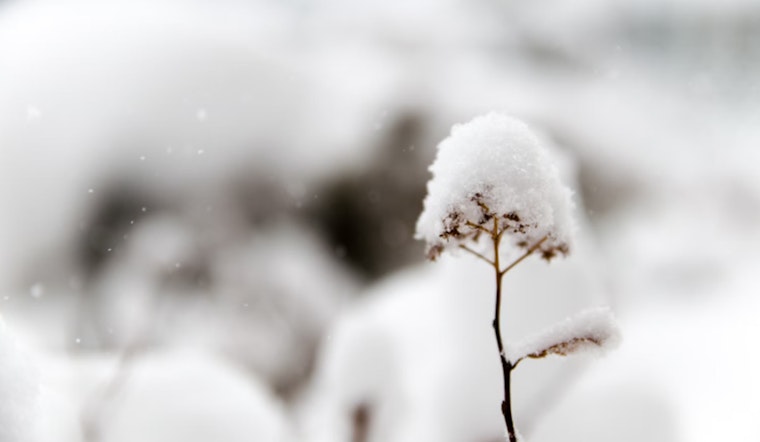 Extreme Cold Warning and Winter Weather Advisory Issued for Oklahoma and Northern Texas