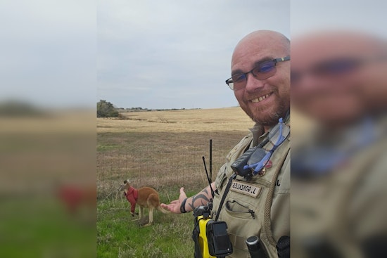 Fayette County Intrigued by Runaway Kangaroo in Red Jacket, Community and Social Media Aid in Swift Return