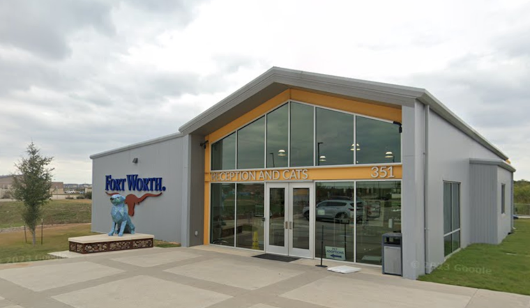 Find Love and a Furry Valentine at Fort Worth's Smooches & Pooches Adoption Event