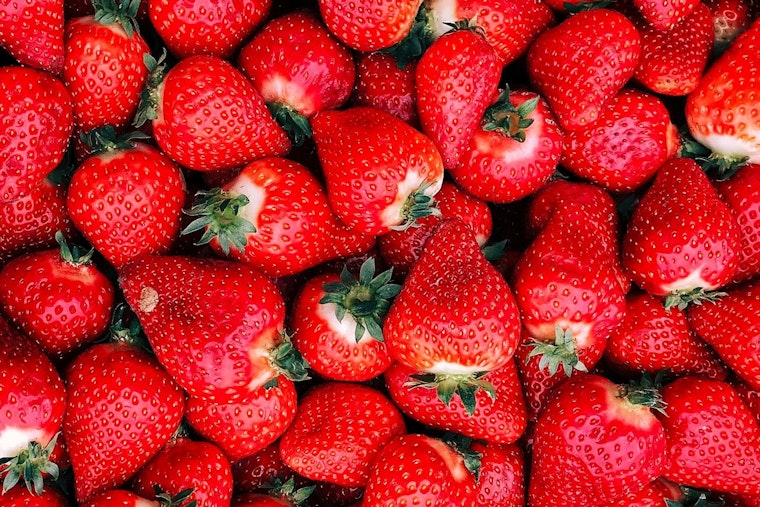 Florida Strawberry Festival Kicks Off With Safety Tips From Hillsborough Sheriff's Office