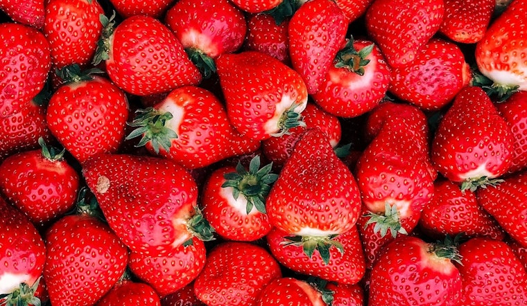 Florida Strawberry Festival Kicks Off With Safety Tips From Hillsborough Sheriff's Office
