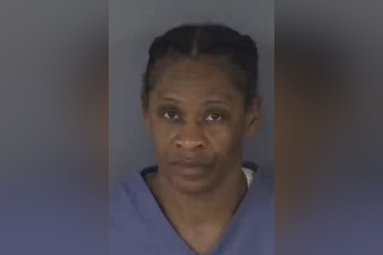 Florida Woman Nabbed for Series of Thefts Targeting Elderly, Facing 31 Charges in Clay County