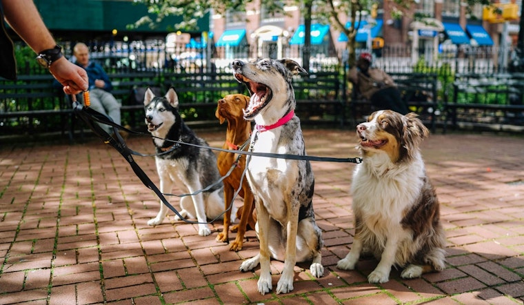 Fort Lauderdale Marches for Mutts, 35th VCA Walk for the Animals Aims for $518K Fundraising Goal