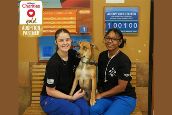 Fort Worth Animal Care & Control Earns Prestigious Gold Medal Status from PetSmart Charities for Over 1,000 Adoptions