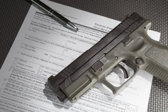 Georgia Senators Introduce "Donna's Law" for Voluntary "No Sell" Firearms List to Prevent Suicides