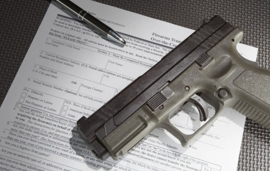 Georgia Senators Introduce "Donna's Law" for Voluntary "No Sell" Firearms List to Prevent Suicides