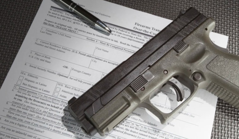 Georgia Senators Introduce "Donna's Law" for Voluntary "No Sell" Firearms List to Prevent Suicides