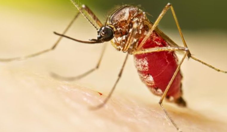 Global Health Experts and University of Minnesota's CIDRAP Outline Research Priorities for Zika Preparedness