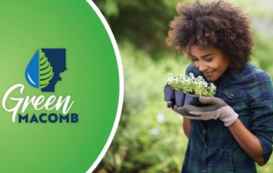 Green Macomb Tree and Plant Sale: A Paradise for Plant Lovers in Michigan Until April 4