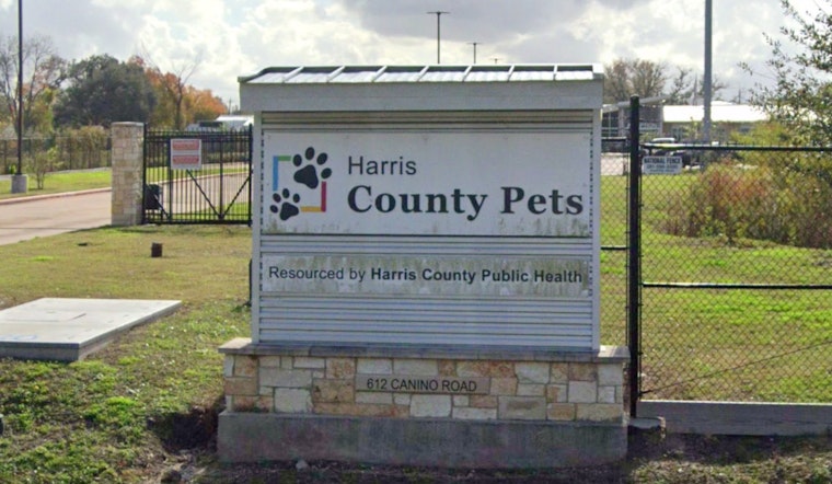Harris County Pets Rolls Out Budget-Friendly Spay and Neuter Events in February